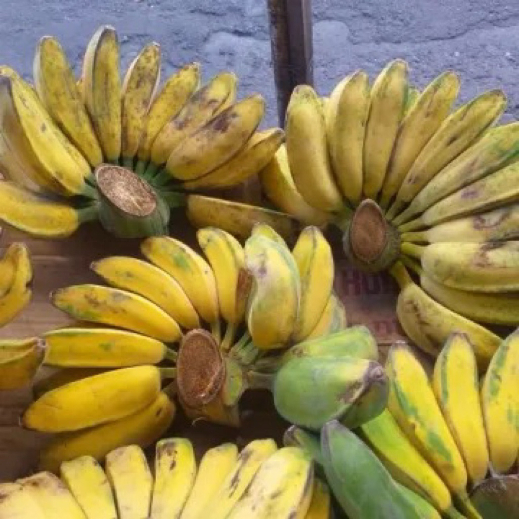 

Pisang Kepok Matang 1kg