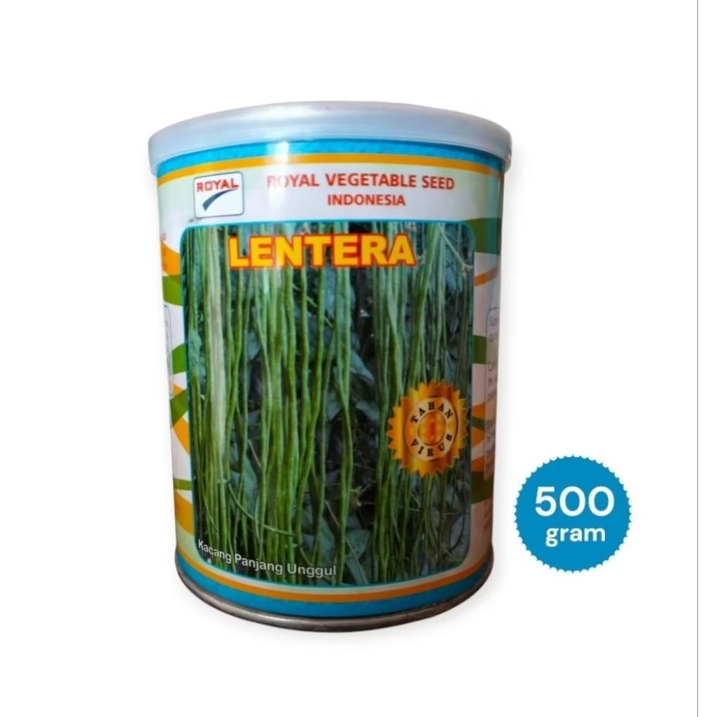 LENTERA 500 gram Benih Kacang Panjang Unggul - Bibit Unggul Kacang Panjang ROYAL SEED