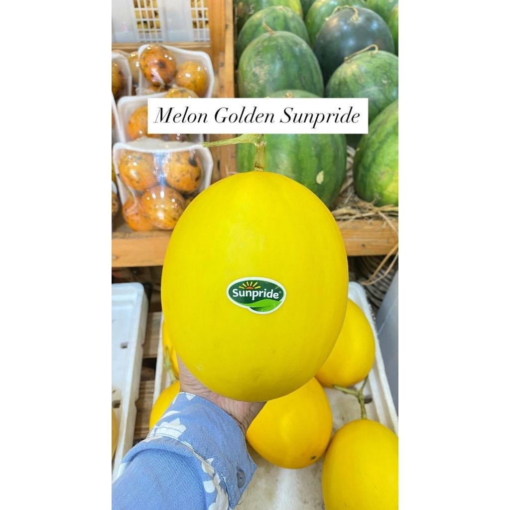 

Melon Golden Sunpride