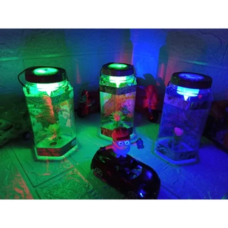 (The Claw) Aquarium Mini Ikan Cupang Bulat Unik Murah Hiasan Dekorasi Kamar Rumah Lampu Led Tidur Ke