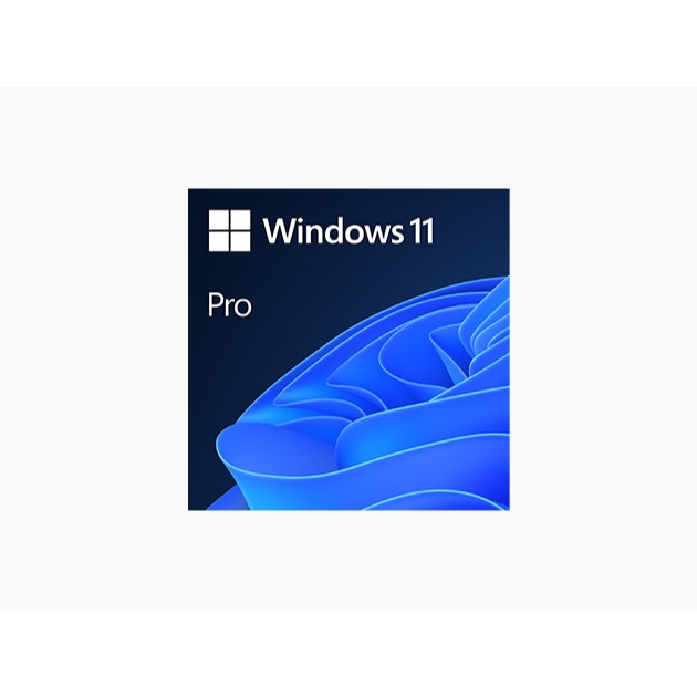 Windows 10 / 11 Pro Original Key / Professional Retail Key Windows Garansi