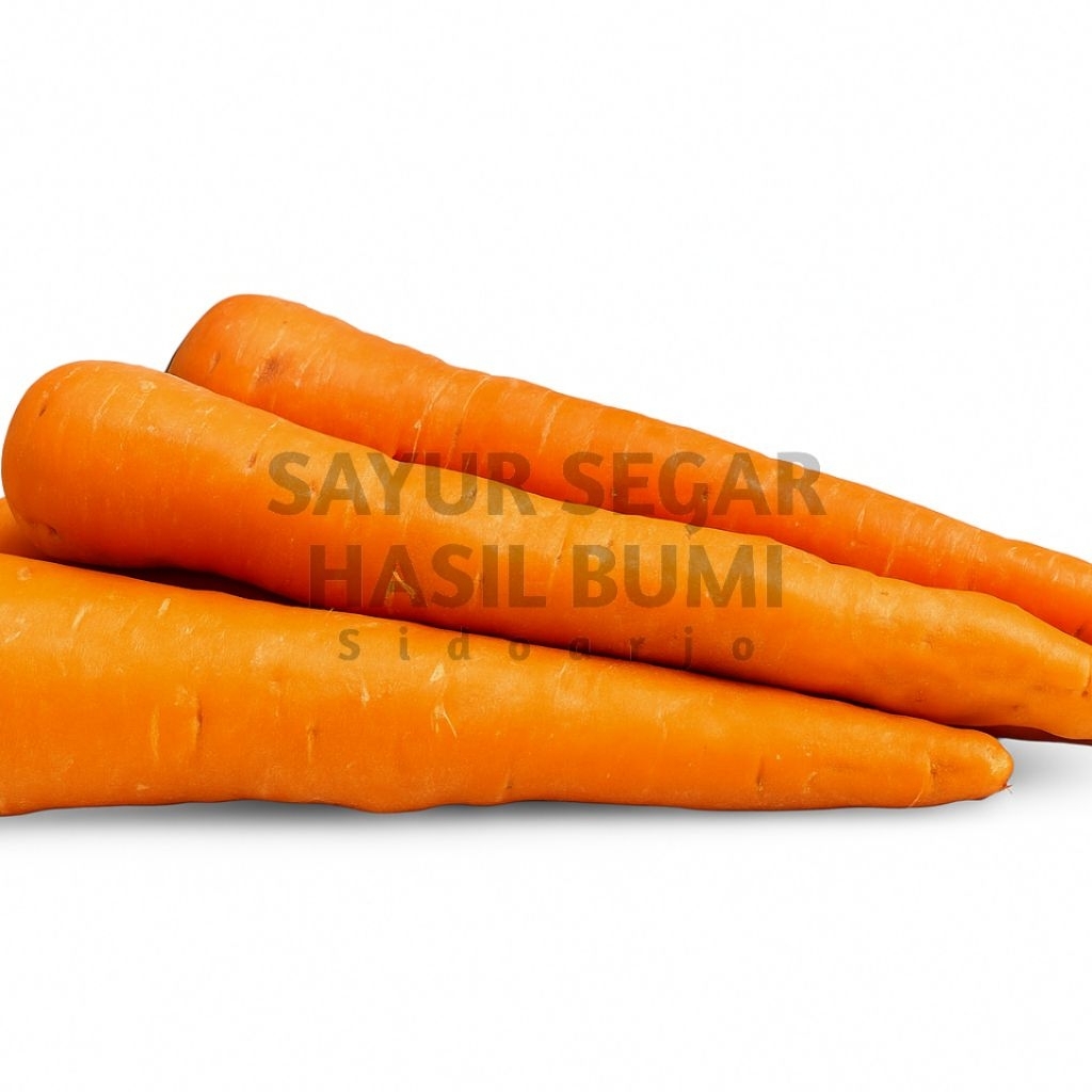 

WORTEL SEGAR HASIL BUMI @250G