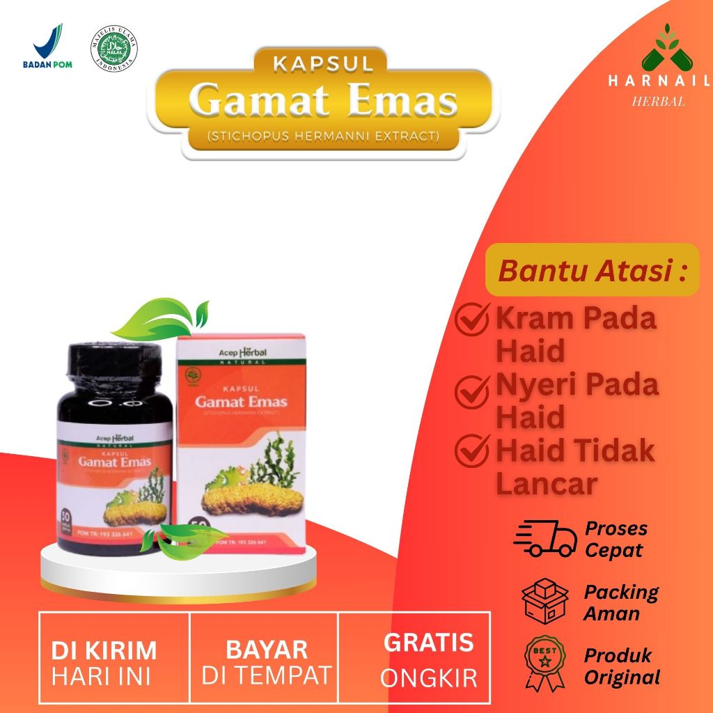 Kapsul Gamat Emas Obat Untuk Nyeri Pada Haid Kram Pada Haid Haid Tidak Lancar Ekstrak Dari Teripang 