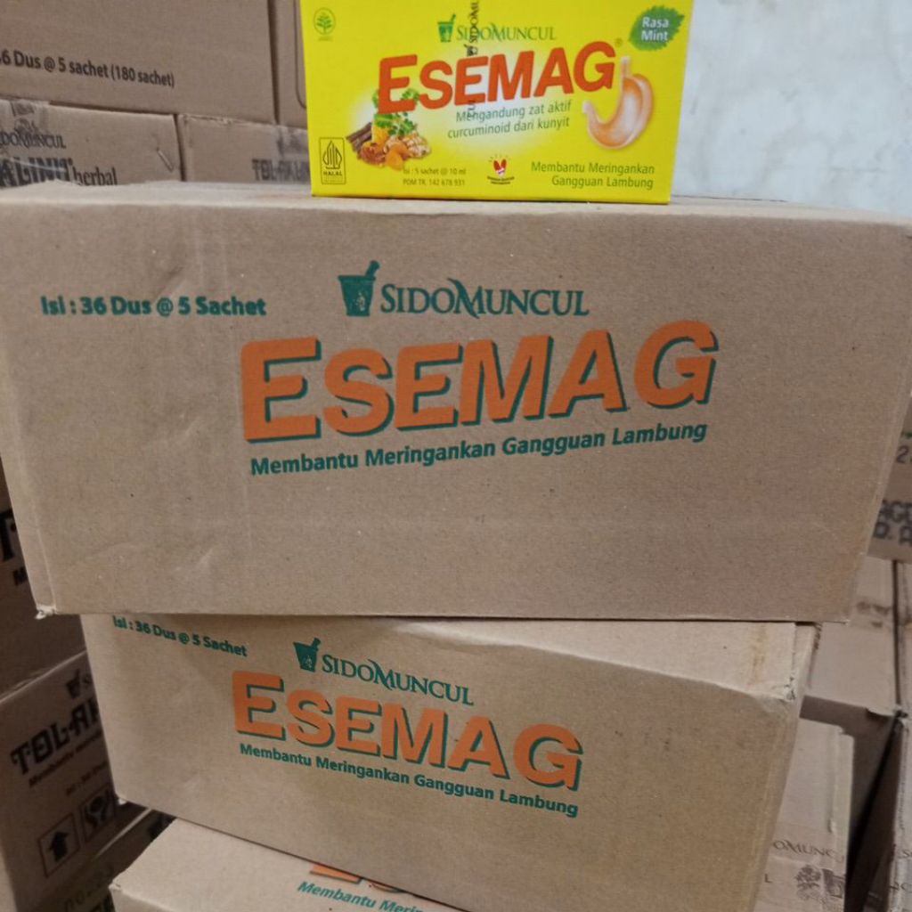 

ESEMAG 1 KARTON ISI 36 DUS