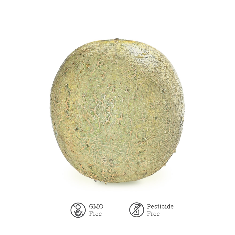 

Melon Sky Rocket Hijau TBSM