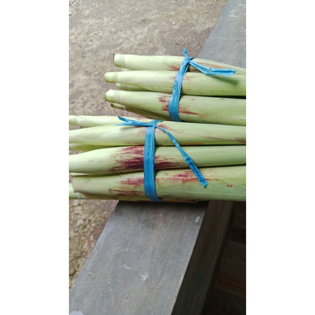 

sayuran turubuk segar 1kg