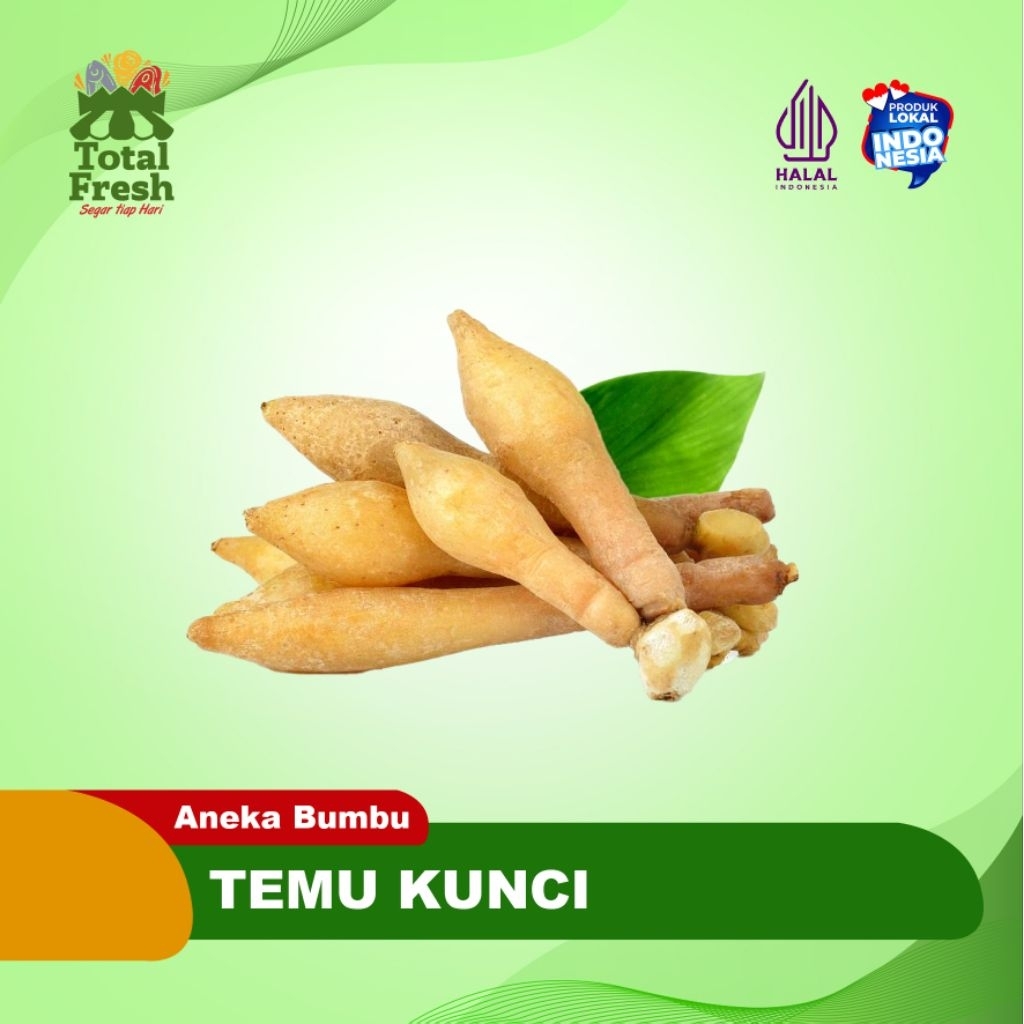 

Temu Kunci