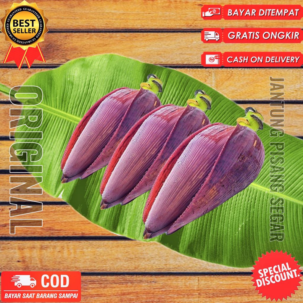 

Jantung pisang kepok 1kg segar fresh dipetik dadakan saat dipesan bersih higienis