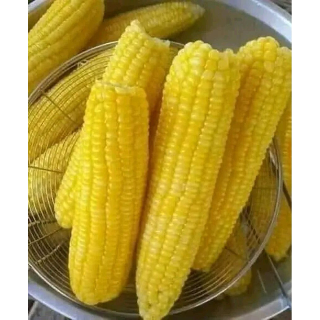 

jagung manis kupas 1 kg