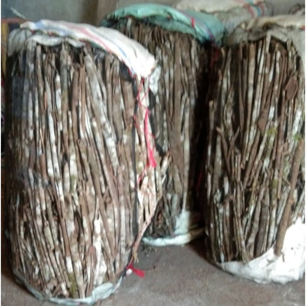 

kulit kayu manis asli kerinci