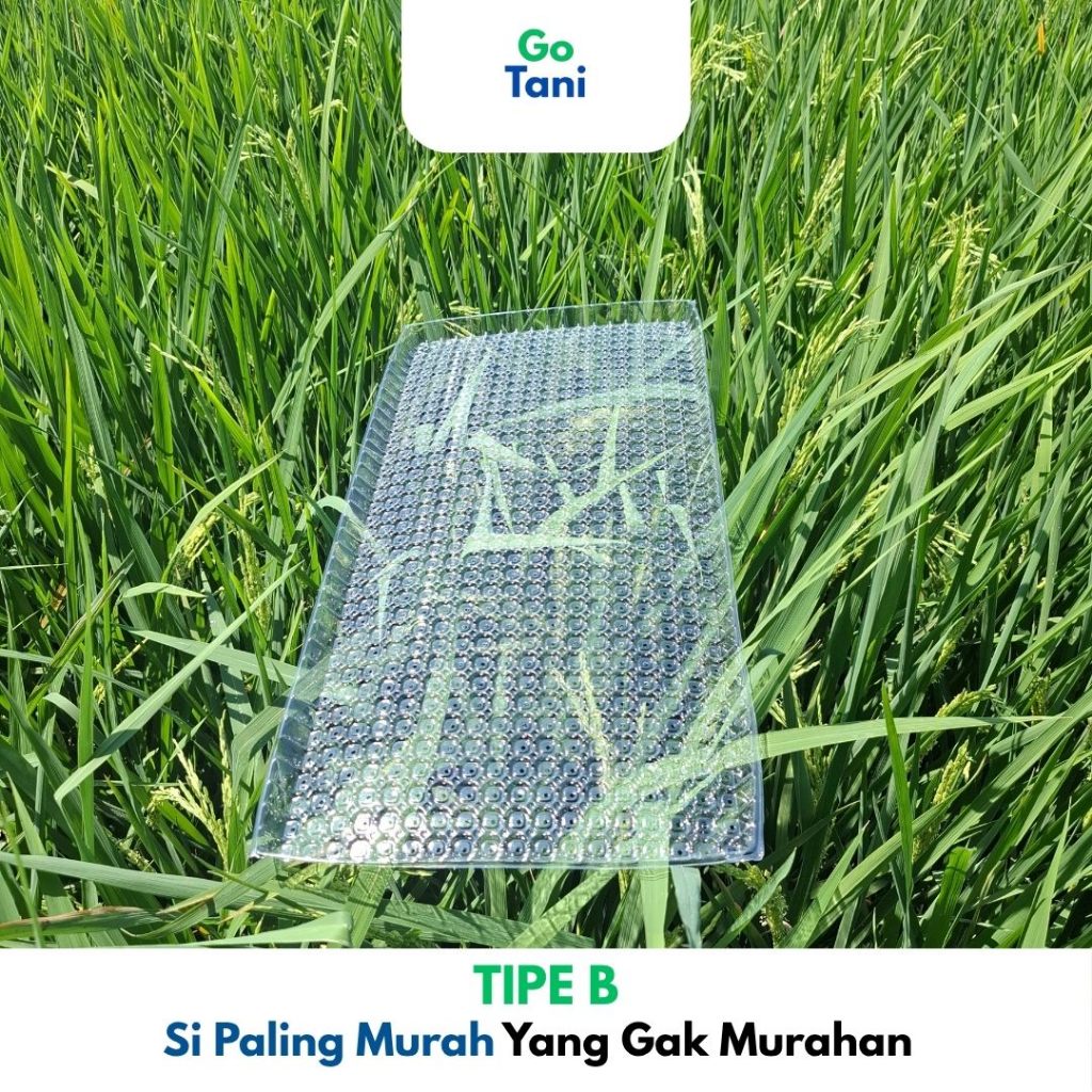( Tipe B ) Tray Semai Benih Padi / Tray Semai Padi / Wadah Semai Padi / Tray Semai Paling Murah