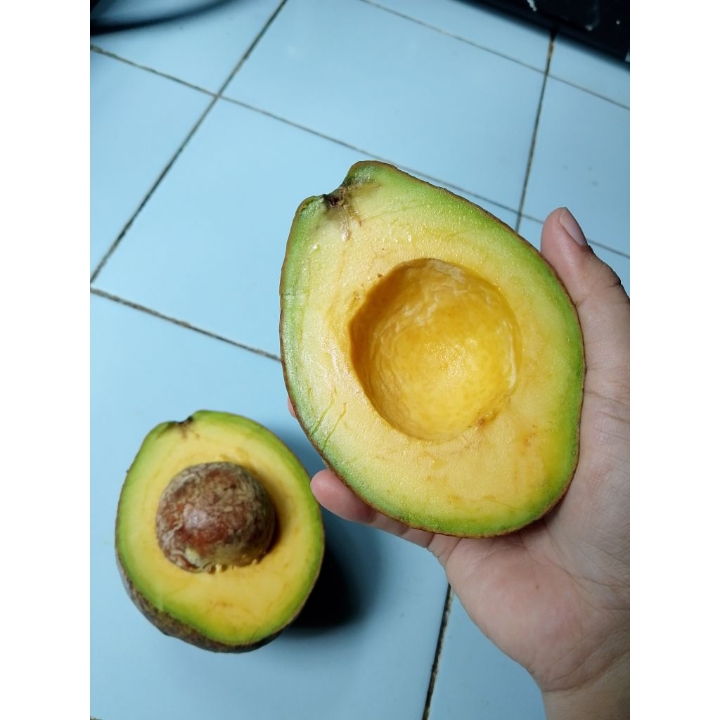 

Alpukat Mentega 1 kg Super Premium