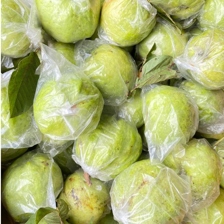 

Promo Jambu Grade B murrah