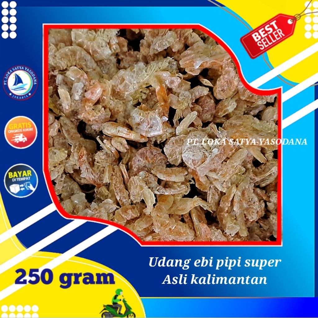 

udang kering ( asli ebi kalimantan ) ebi pipi super 250gram