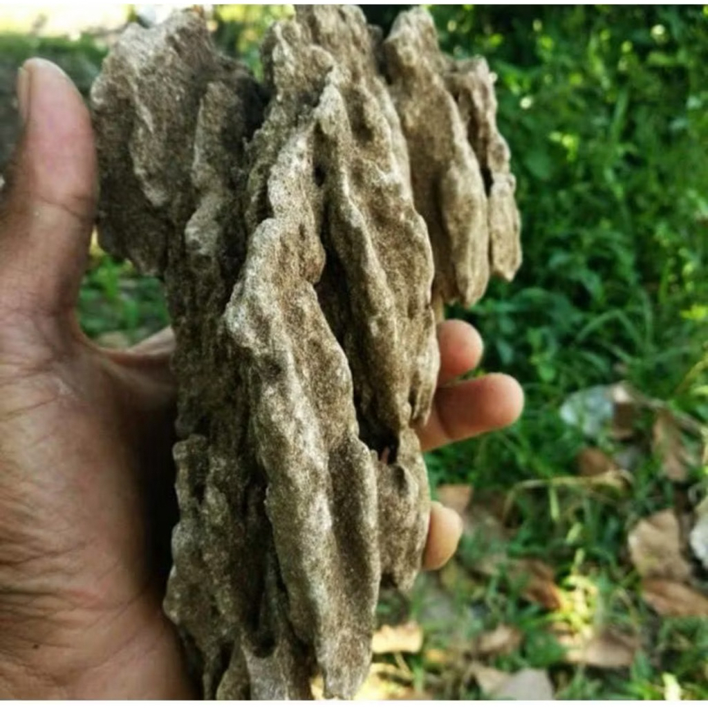 Batu Pasir Aquascape Aquarium batu pasir sand stone