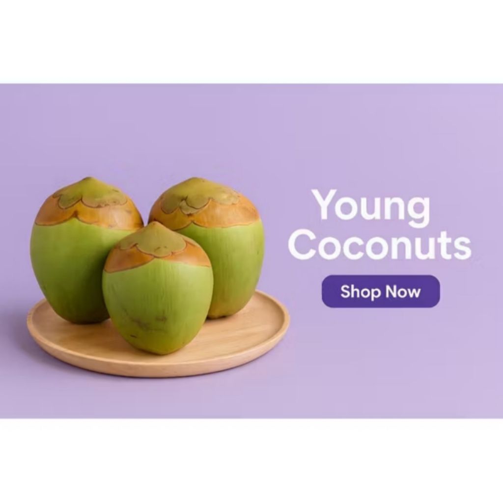 

beluluk kelapa 1 pcs - tembuluk kelapa