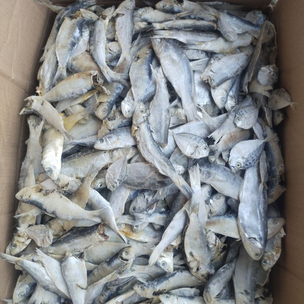 

Promo Ikan Asin Campur Murah