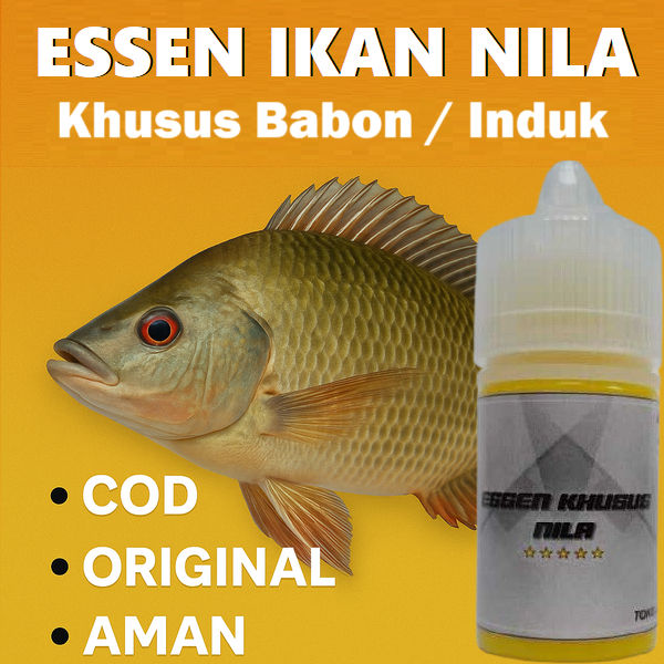 ESSEN KHUSUS NILA BABON / INDUK | AMPUH TARIK IKAN BESAR & STRIKE GALAK