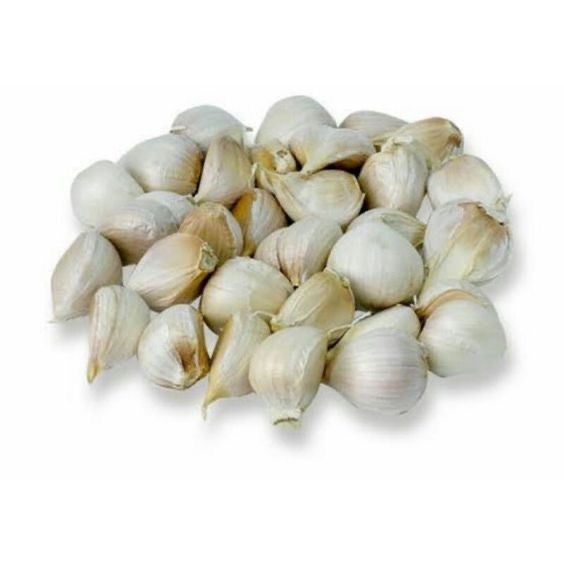 

bawang putih kating paket 5000