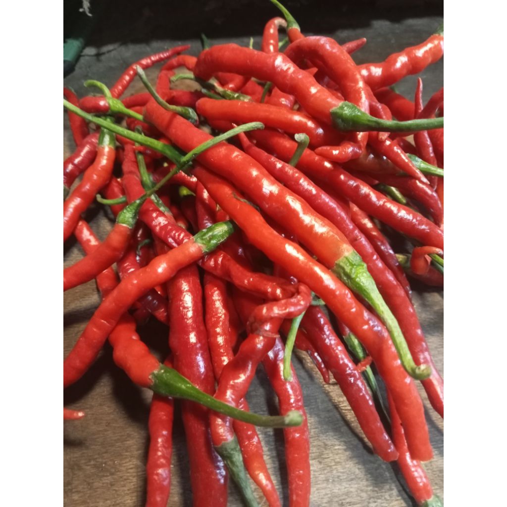

Cabe Merah Keriting Segar Padang Aro 500 gram