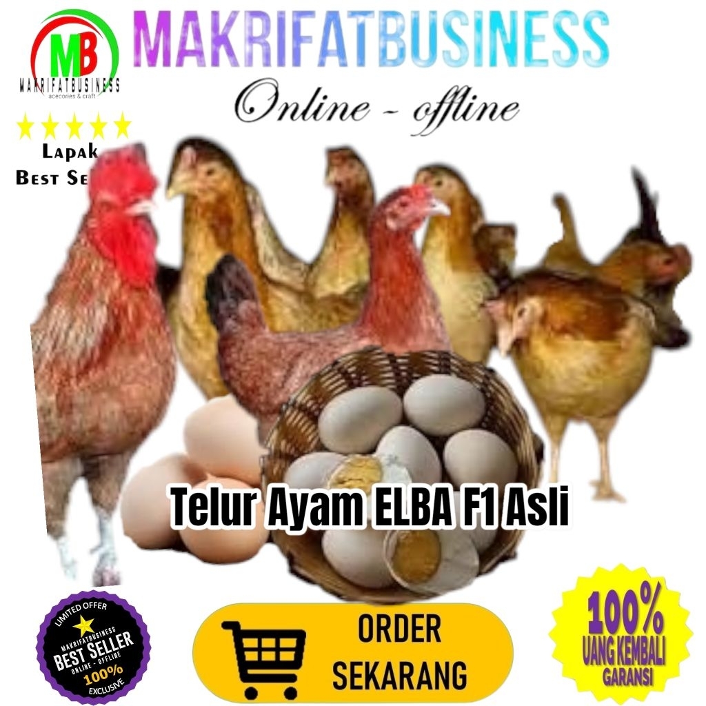 

MAKRIFATBUSINESS Paket 25 Pcs Telur FERTIL Ayam ELBA F1 ASLI Untuk Ditetaskan Produksi Farm Profesional
