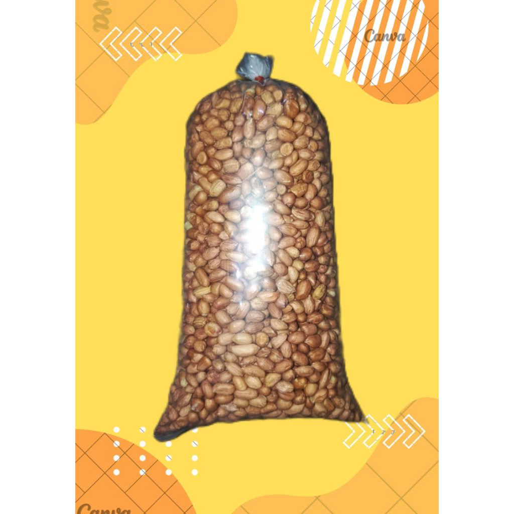

Kacang Tanah Murah Kemasan 1/4kg