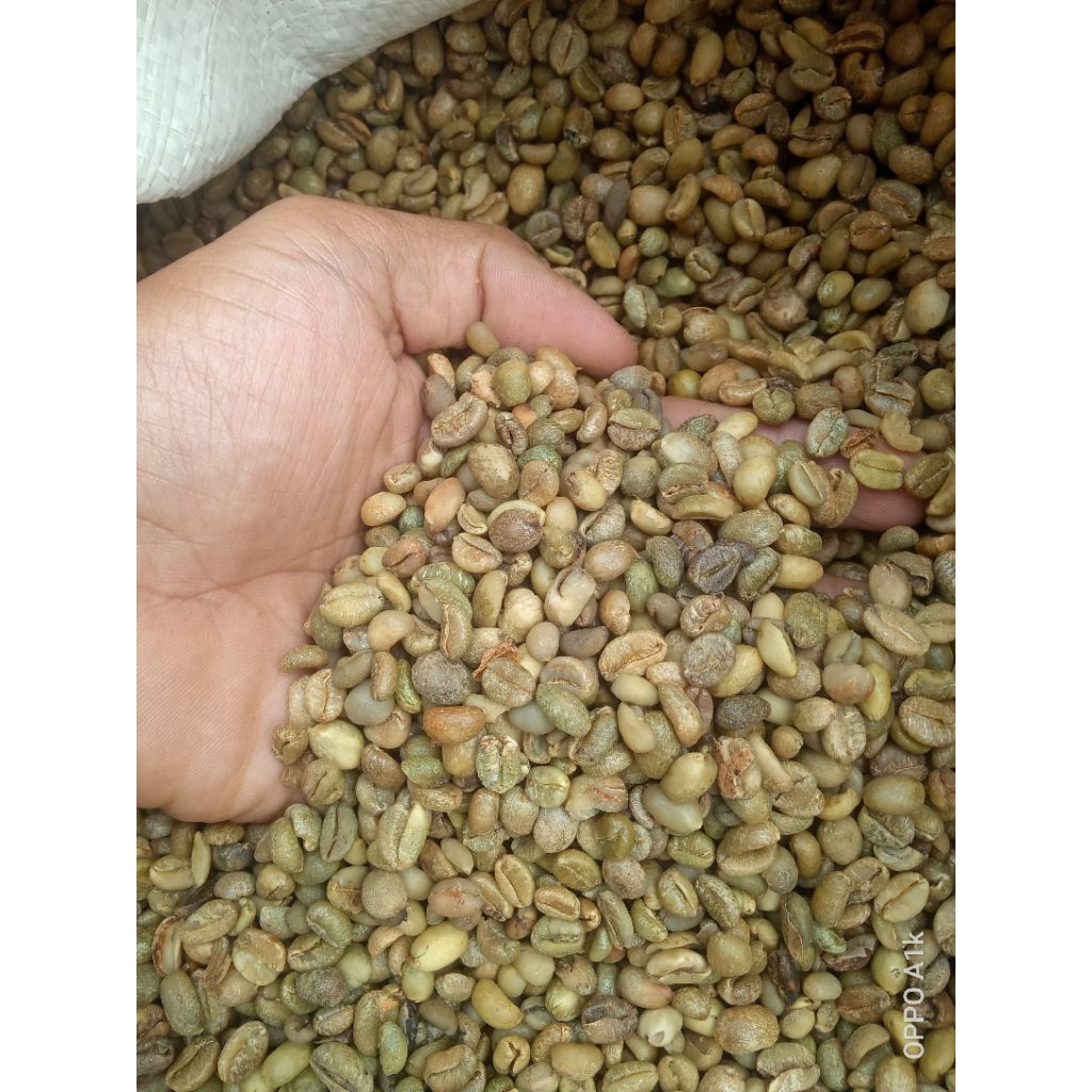 

biji kopi EXELSA 1kg