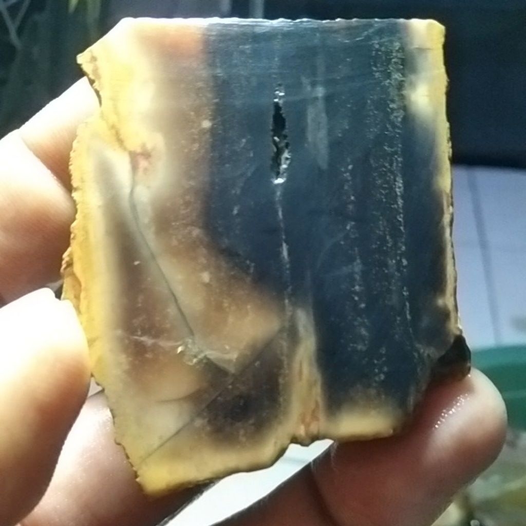 BATU FOSIL KAYU UNIK BERSERAT PERAK TEMBUS MERAH