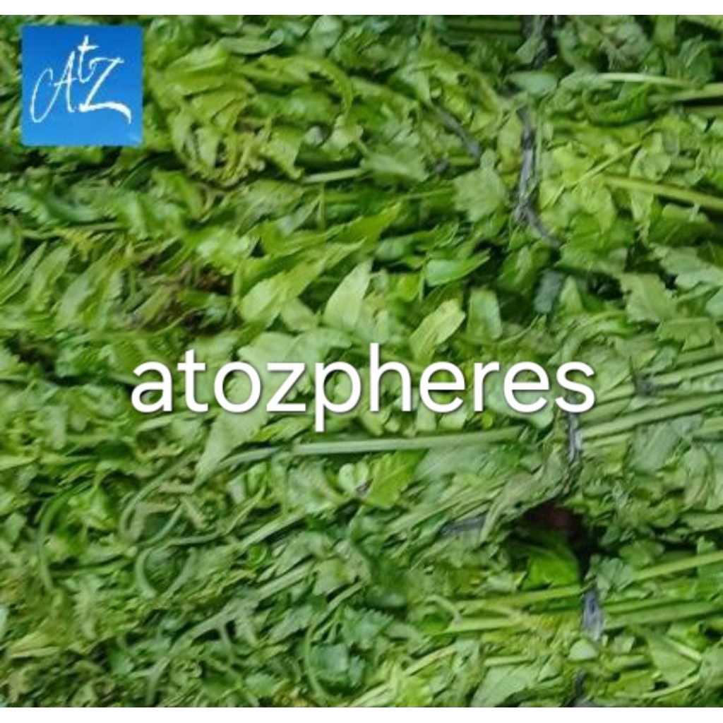 

Sayur daun pakis segar pilihan fresh vegetable vegetable