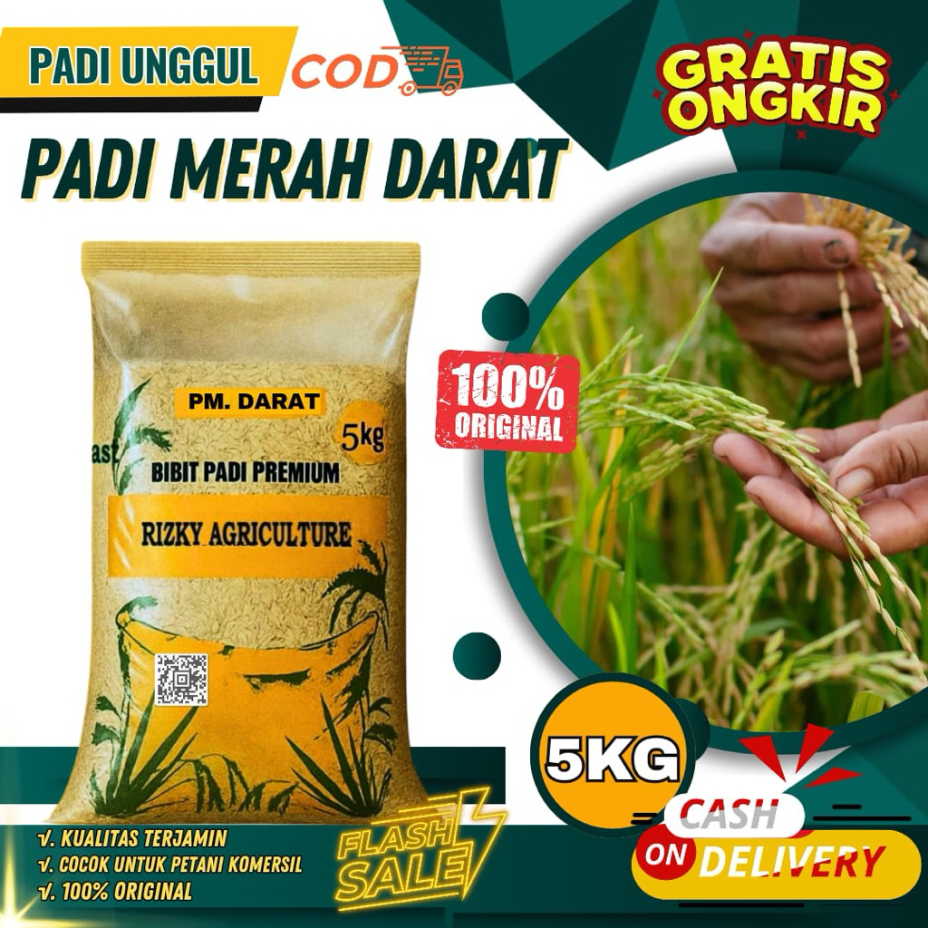 BENIH PADI BIBIT PADI MERAH DARAT 100% ORIGINAL KUALITAS UNGGUL KEMASAN 5 KG