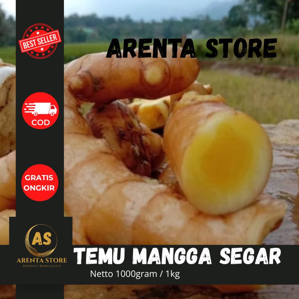 

TEMU MANGGA SUPER SEGAR 1KG