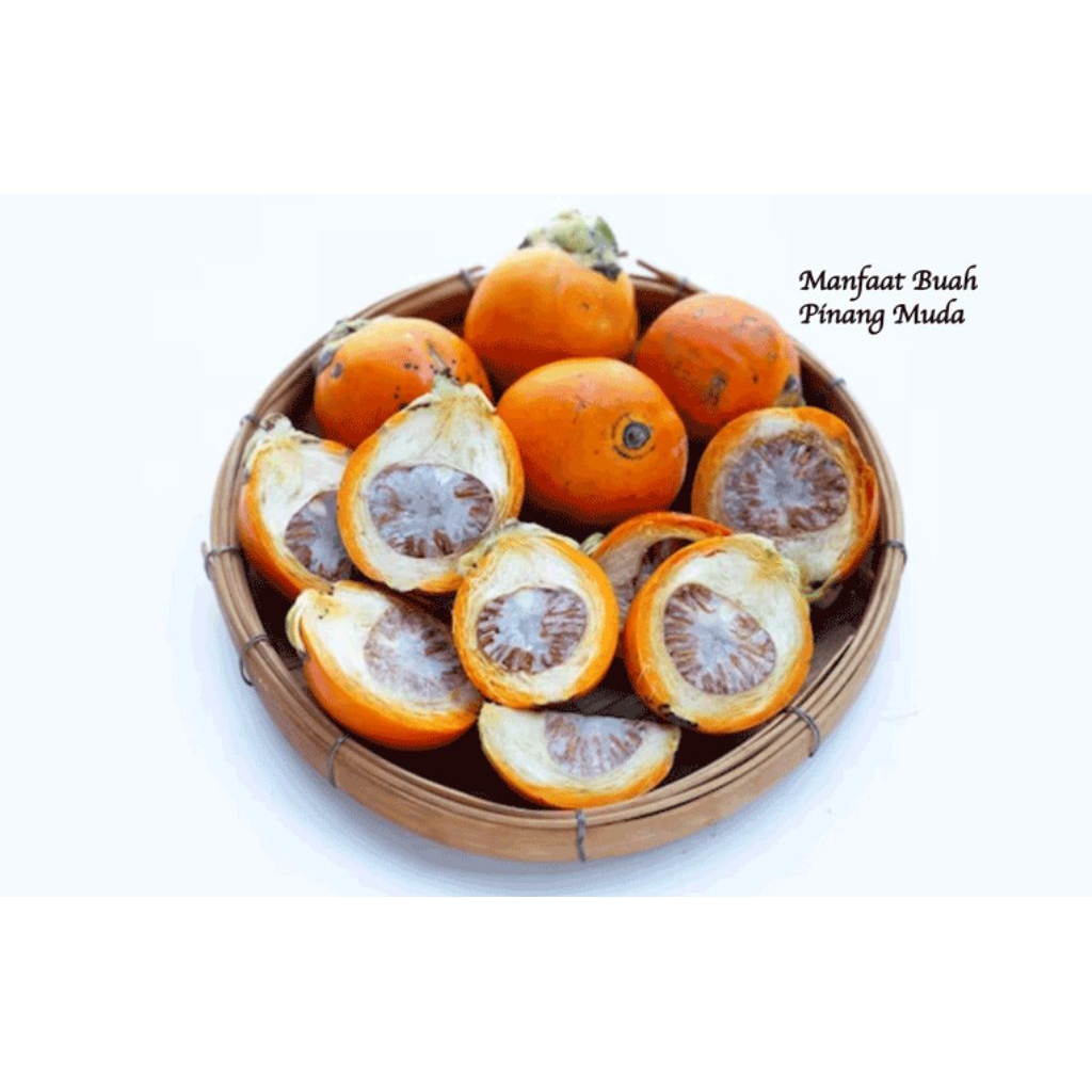 

buah jambe tua/pinang tua 1kg