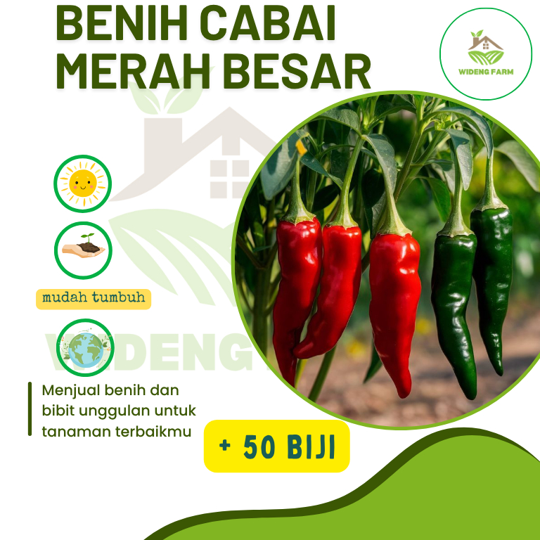 Cabe Merah Besar 50 biji bibit seed Benih Cabe Merah Besar Tahan Virus Cabai Unggul Berkualitas