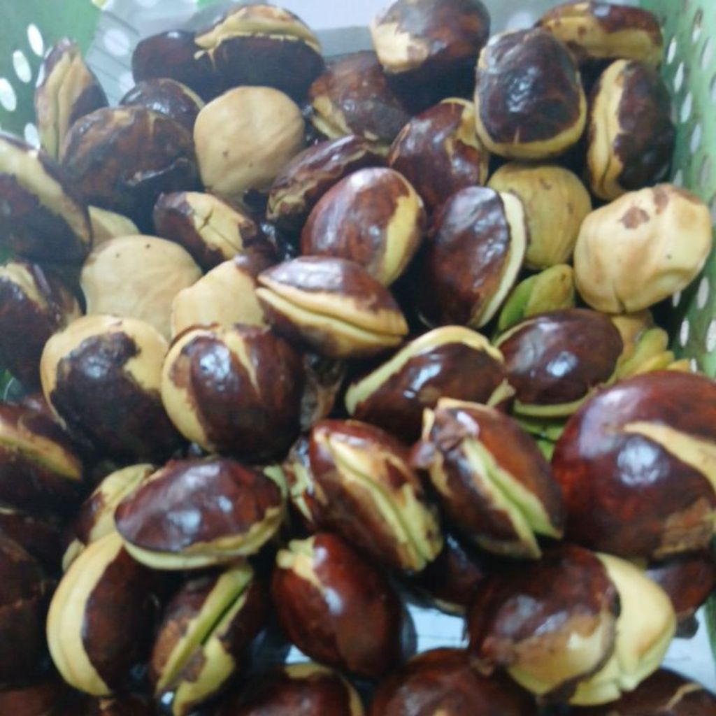 

jengkol super seperampat