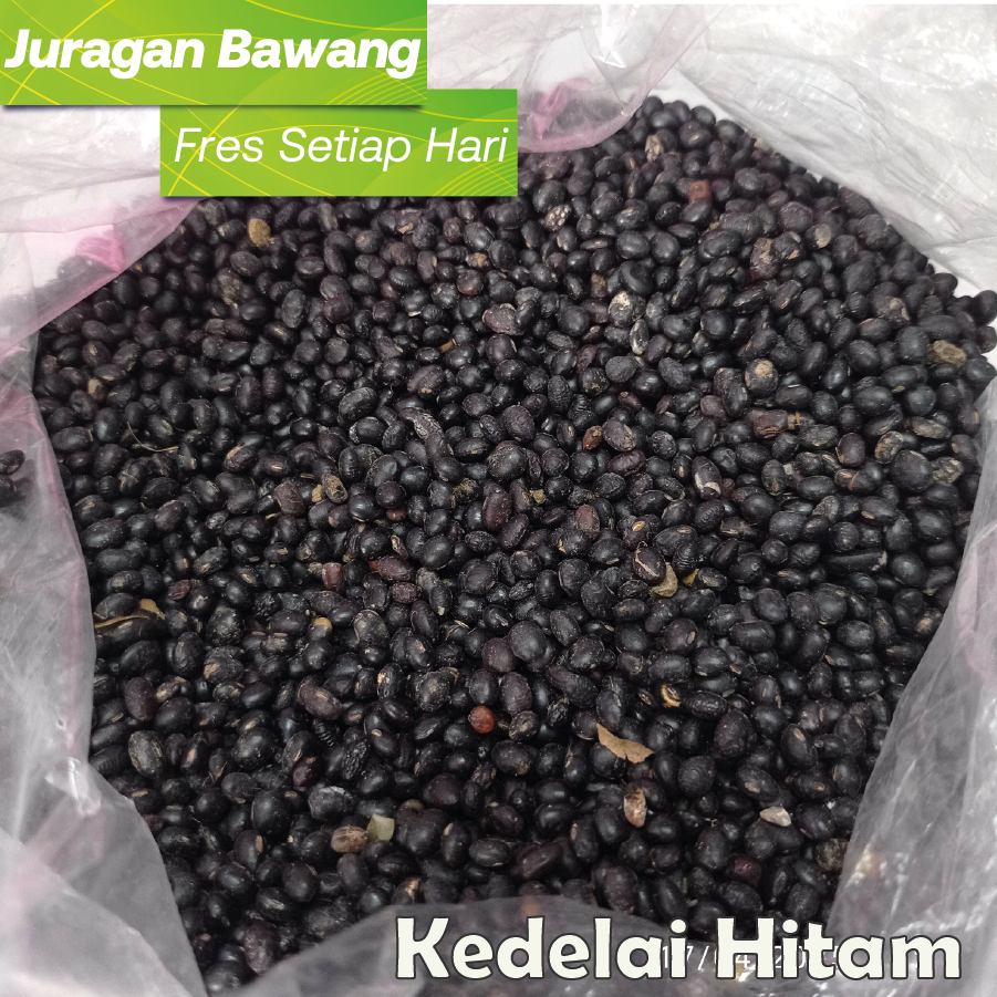 

Kedelai Hitam 1 Kg Berkualitas