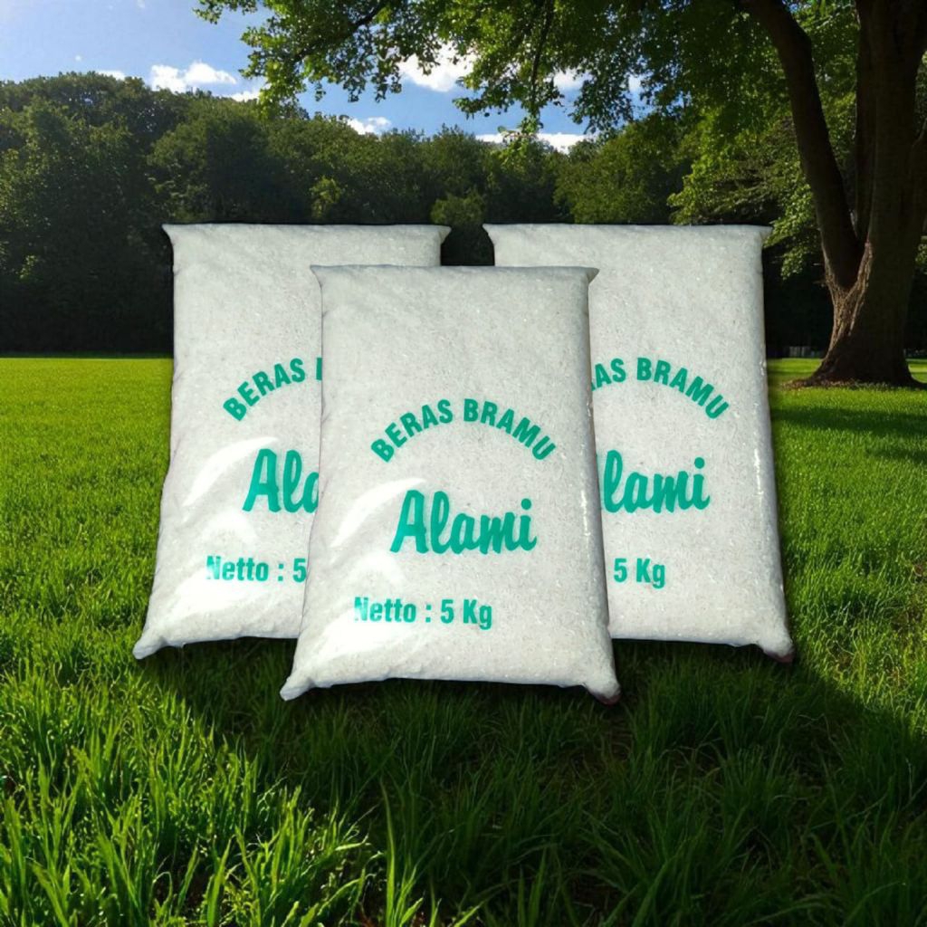 

BRAMO ALAMI KEMASAN 5Kg