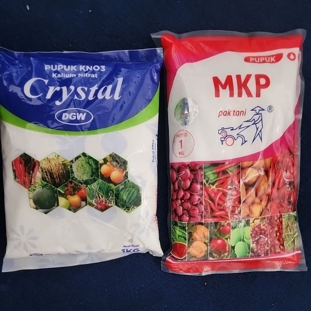 Pupuk Pembuahan KNO3 1kg+MKP 1kg ORIGINAL