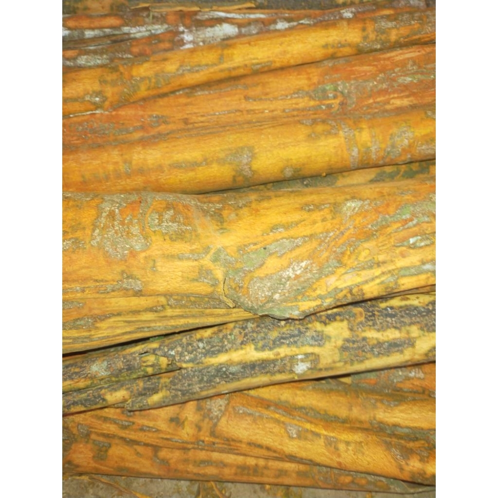 

kayu manis (cinnamon)