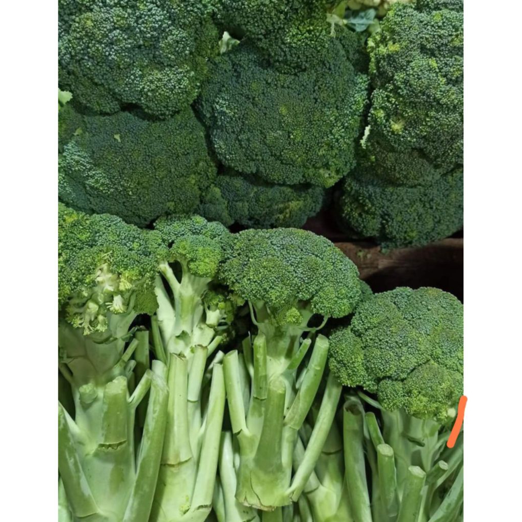 

brokoli lokal daerah 500gram