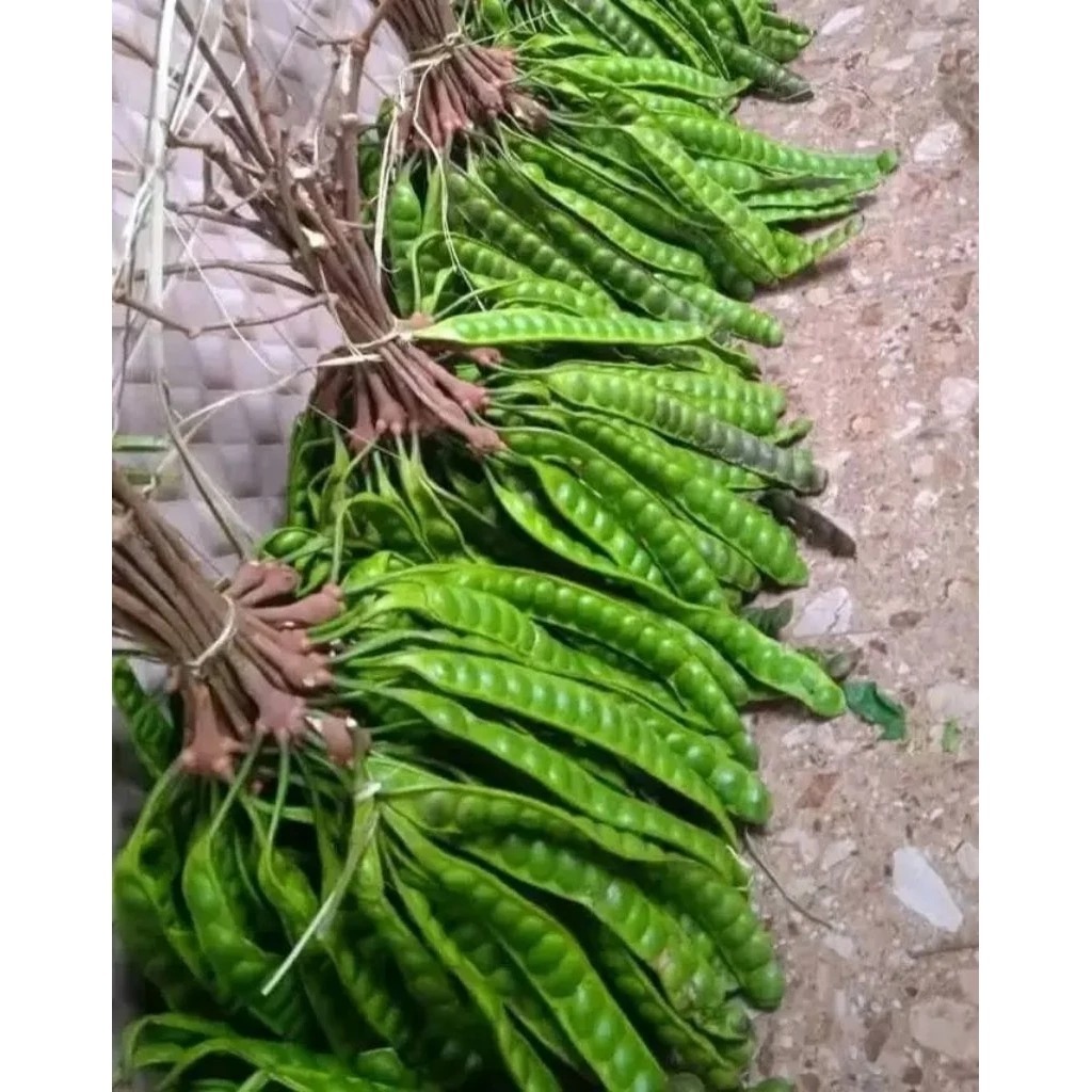 

PETE SATUAN PREMIUN MATA BESAR