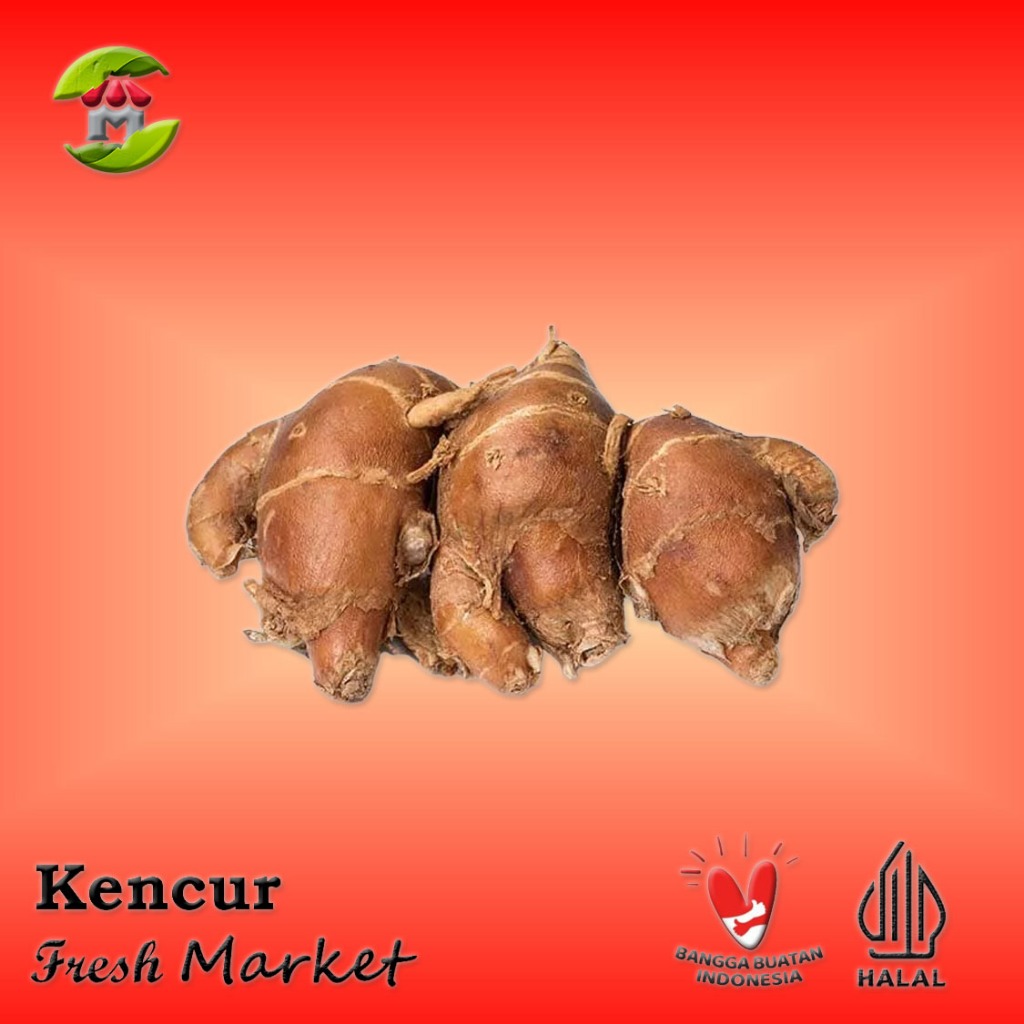 

[JAKTIM] Kencur Pack 200gr - 250gr