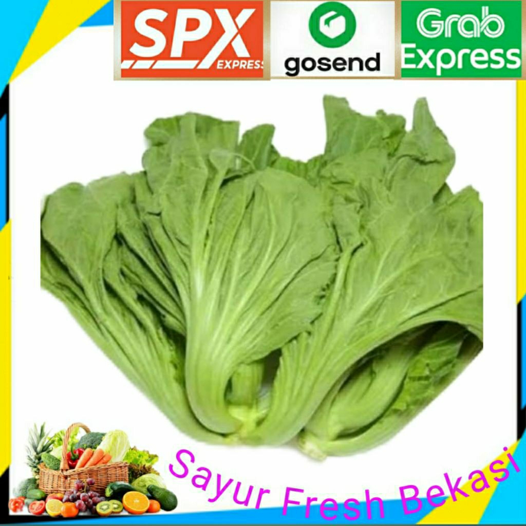 

Sawi Pahit/Pait Segar 1 ikat.