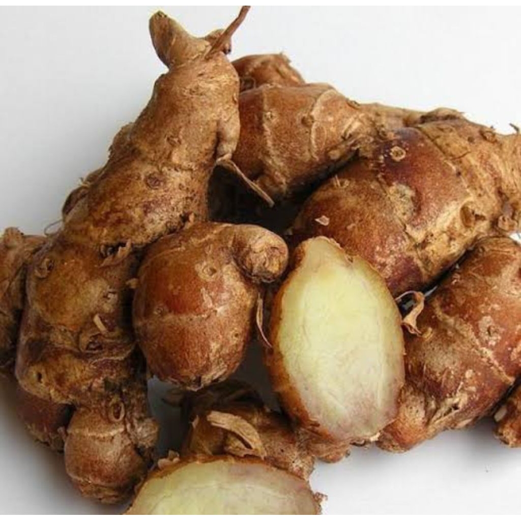 

Kencur cikur 250gram