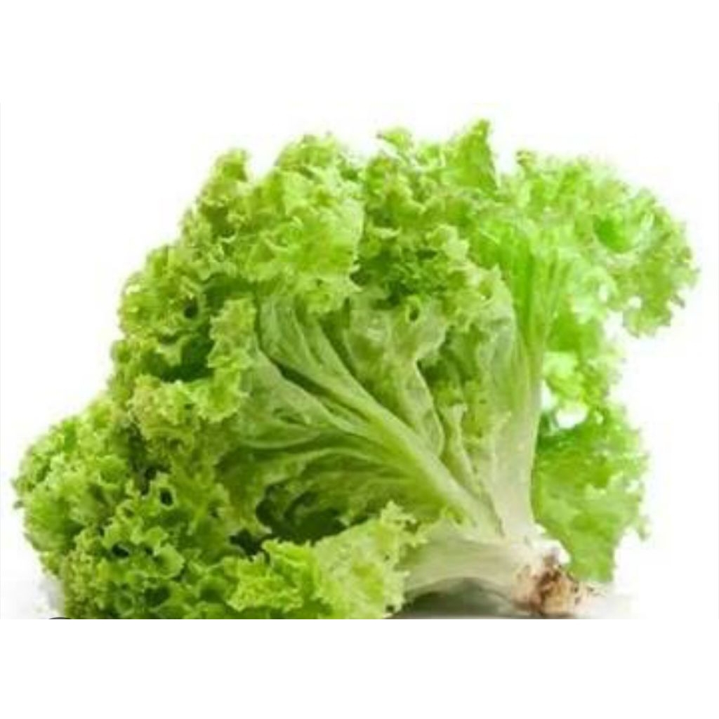 

Selada lalap 500gram