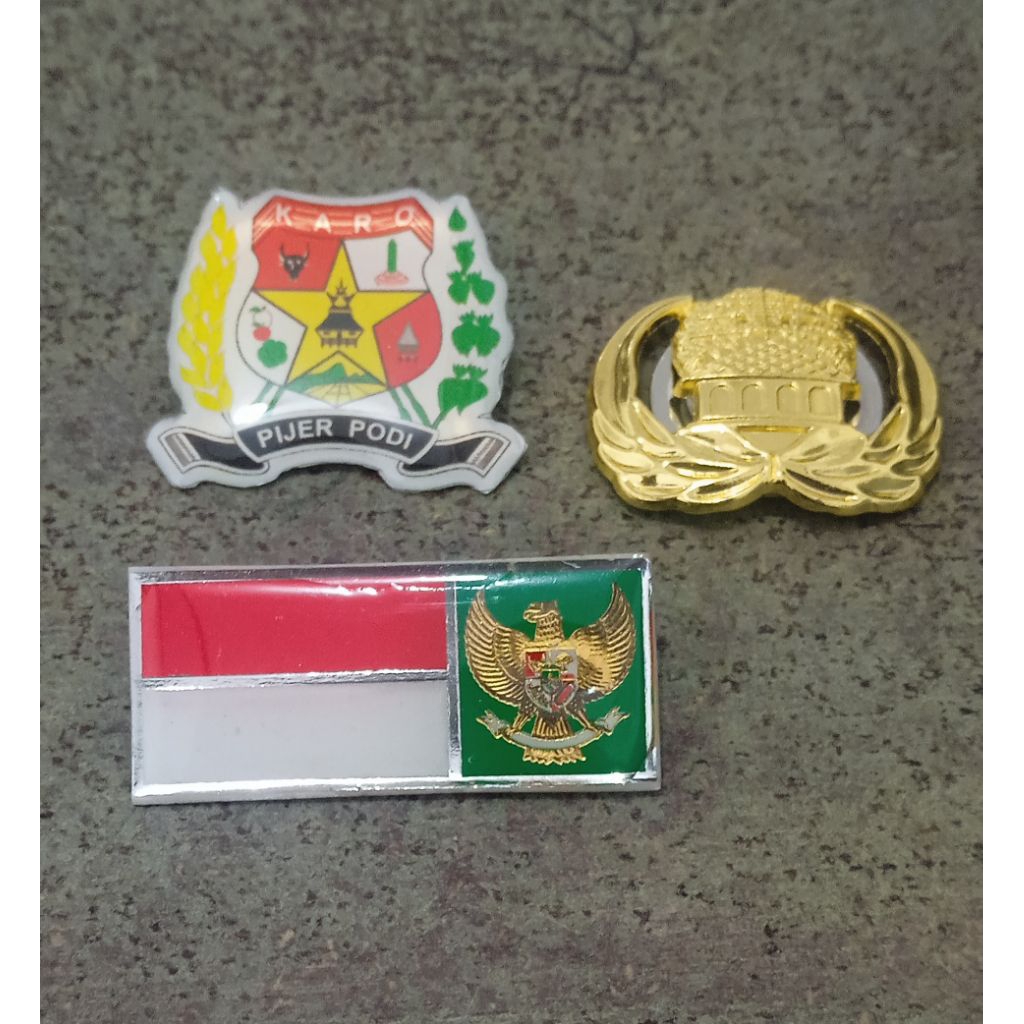 Pin Merah Putih, Pin Pijer Podi, Pin Korpri