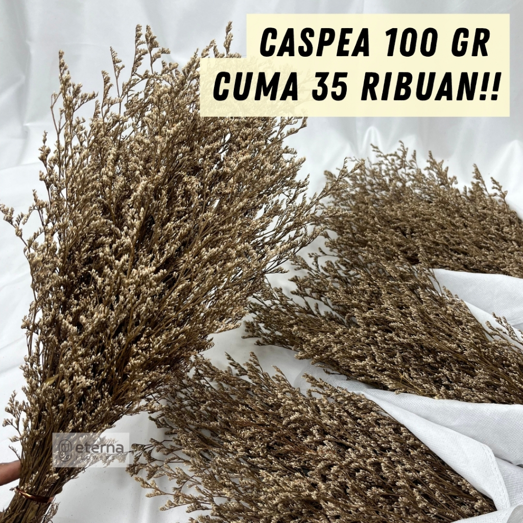 [GROSIR] 100 gr Preserved Caspea Lover Grass Limonium / Dried Flower Awetan / Bunga Kering