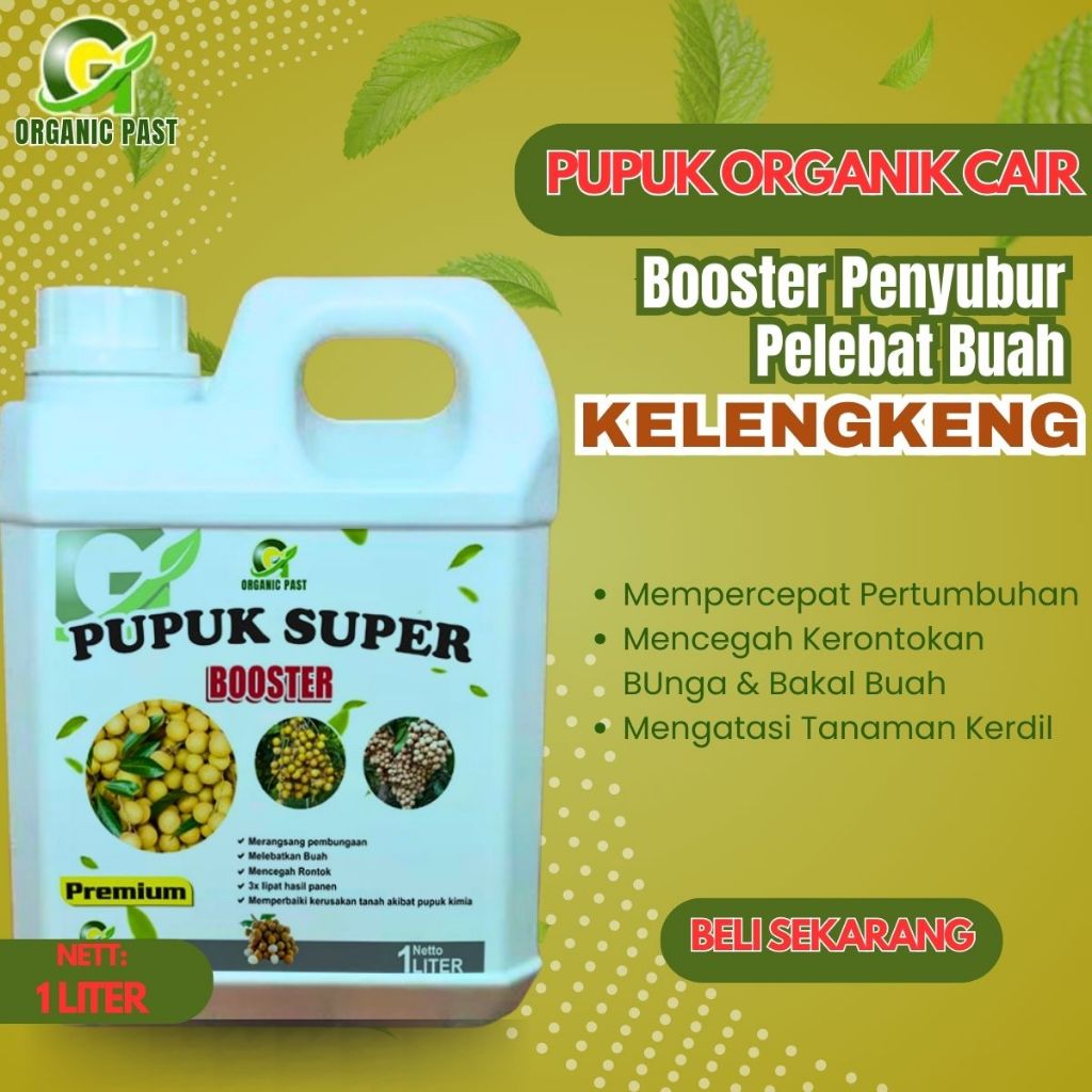Pupuk pelebat buah Kelengkeng | Booster kelengkeng | pupuk booster kelengkeng | pupuk booster