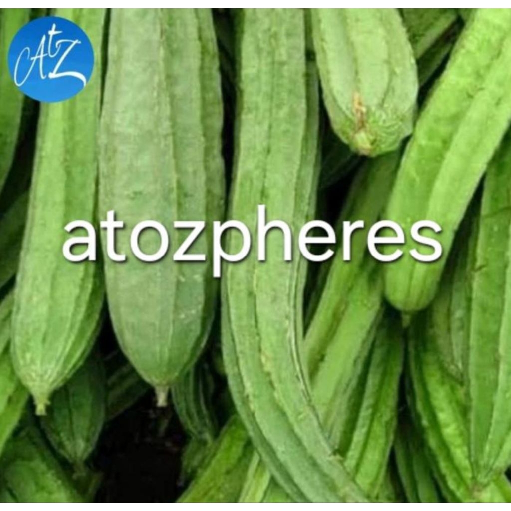 

Sayur gambas oyong segar pilihan fresh