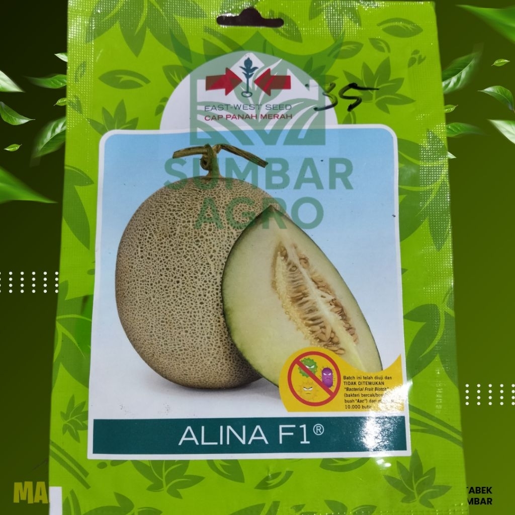 Benih melon ALINA F1 isi 400 biji