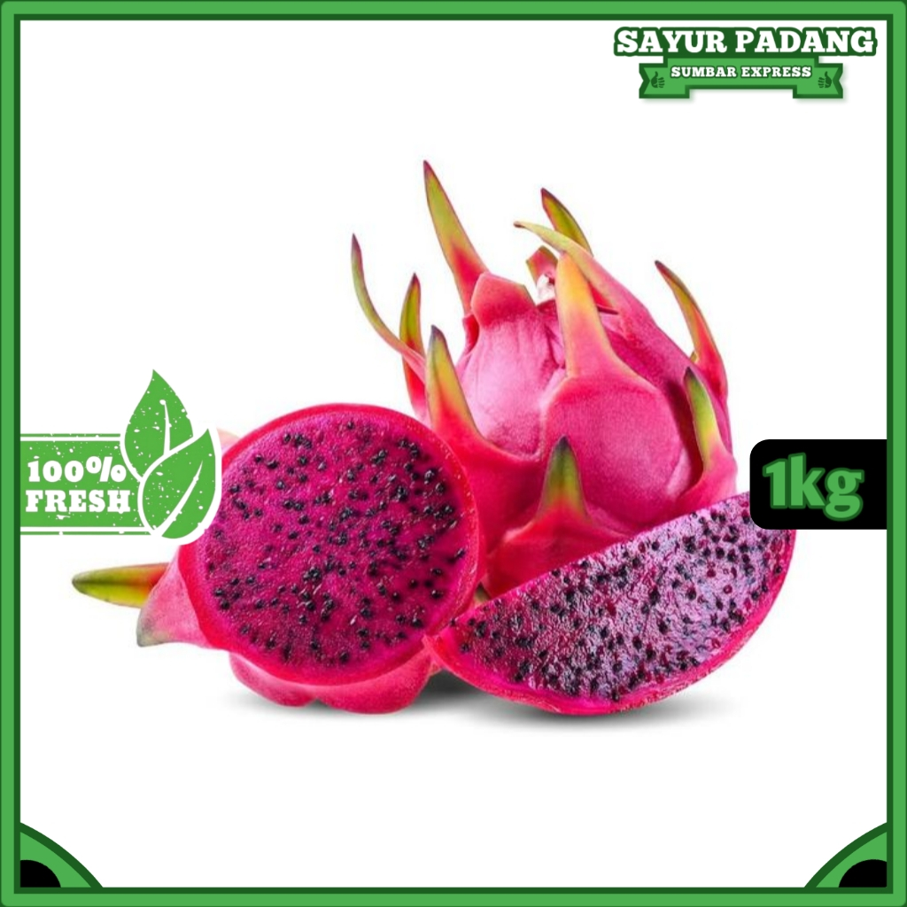 

BUAH NAGA MERAH SUPER SEGAR BESAR 1KG BARU PETIK